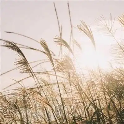 情感生活群头像大全都市美景