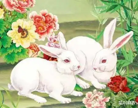 4.154.21日属兔属龙属蛇运势提点,属蛇大展拳脚,积极落实