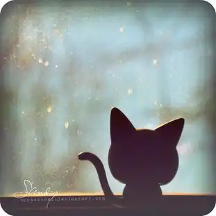 求女生网名和头像