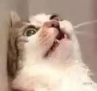 如何评价周杰伦版本的听见下雨的声音