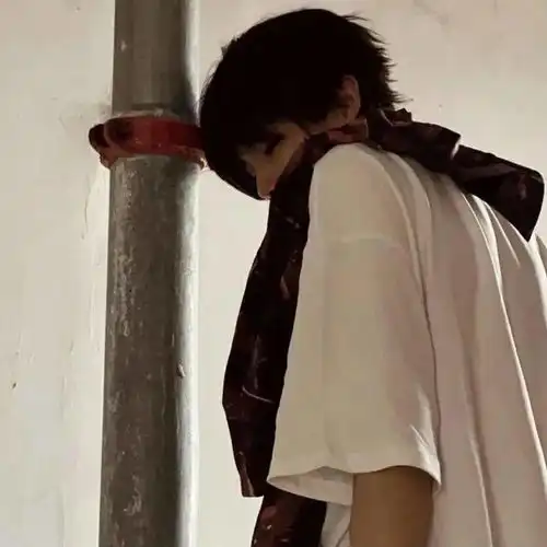 氛围感头像书里总爱书写到喜出望外的傍晚