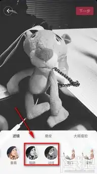 抖音黑白色视频特效怎么拍摄,黑白滤镜怎么打开