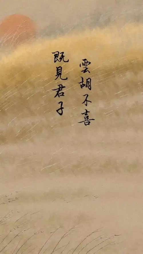 壁纸文案能被ta喜欢的人是要多幸运多优秀