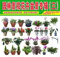 花草树木盆景psd素材专辑三图片psd模板下载104.04mb花卉大全自然