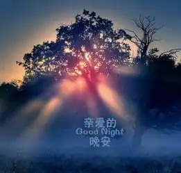 盘点高薪奇葩职业女白领卖晚安短信赚3千元