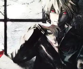 求动漫血族唯美帅哥,要求高,像吸血鬼骑士的来也白来