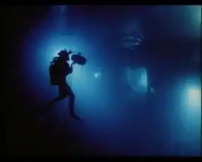 没有它就没有阿凡达