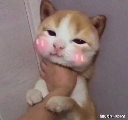 搞笑段子表姐单身,家庭聚会时,我说到了一个朋友裸婚的事