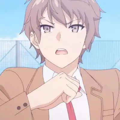 祁安辞青春猪头少年不会梦到兔女郎学姐男生动漫头像动漫安利