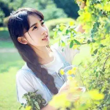 ld体育