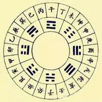 金命的人的微信头像微信头像图片大全