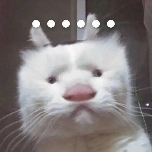 过安检的时候,安检员摸到我鼓鼓囊囊的裤兜,让我把里面的东西拿出来