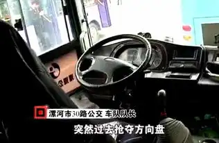 事发漯河,男子公交车上抢夺方向盘致两人受伤,被判刑三年