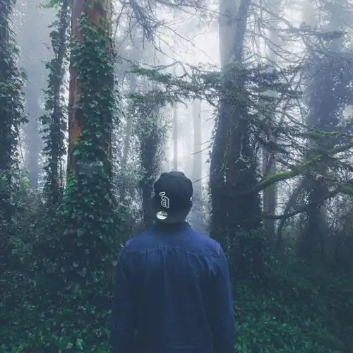 这些星座在爱情里比较慢热,但是一旦爱上对方就会越爱越深