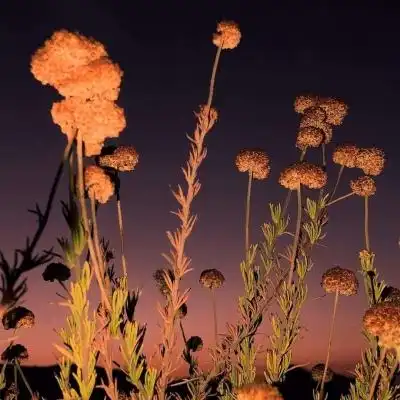 33377香港慈善网原始网站