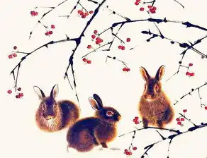 桃花运旺,异性缘最好的4大生肖女,个人魅力爆表