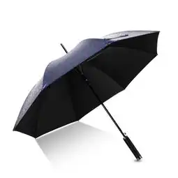 太极养生医馆hommy自动开超强防雨防晒英伦商务晴雨伞男女通用蓝色