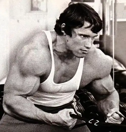 施瓦辛格偷情保姆20年未被发现,终因私生子长得太像被揭穿