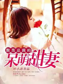 言情小说