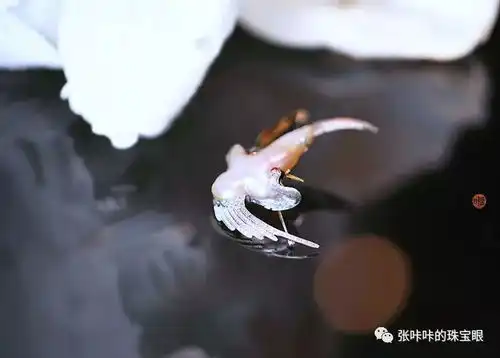 设计也是一种神的旨意,云中鹤胸针