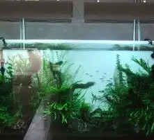 黄页88高清图片