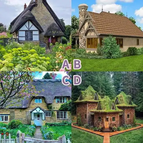 心理测试选1间你喜欢的小屋,测你会嫁给搬砖男还是高富帅