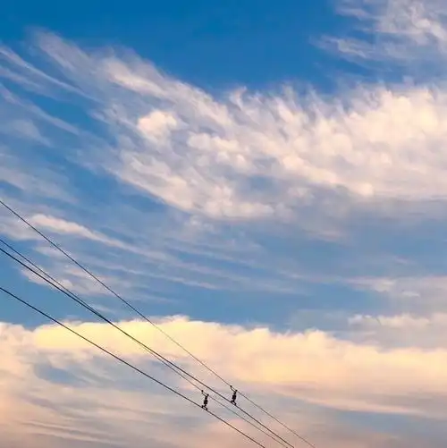 好玄学,学领导用蓝天白云的头像运势逆转了太灵...