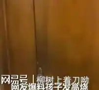男子带高烧婴儿到急诊被拒一小时,院方医护人员得产后抑郁