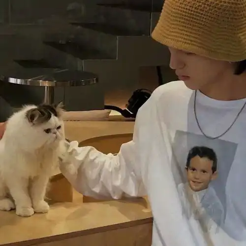 头像招桃花男生头像