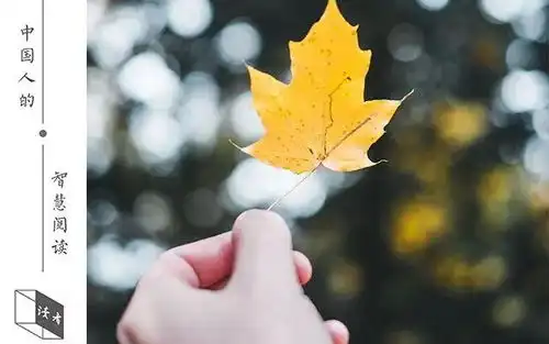 成年人最大的悲哀,就是突然读懂了刘姥姥