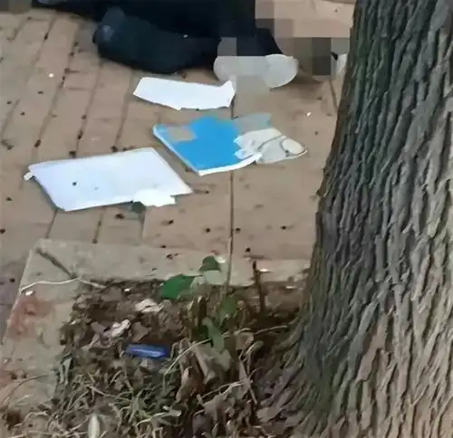 襄阳12岁小学生跳楼后续事前曾给父亲发短信,家属沟通无果起诉