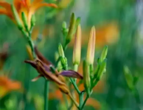 表里如一的三生肖男,成熟稳重才华横溢,家庭生活幸福美满