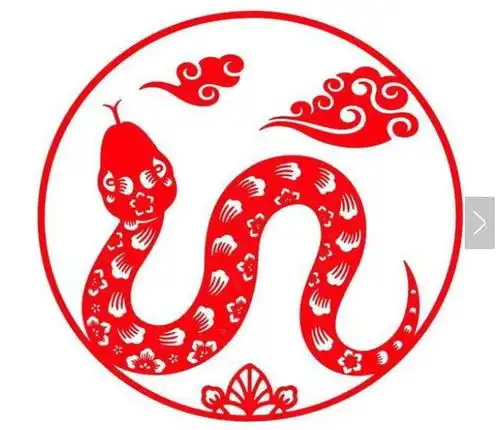 属蛇人和什么生肖做夫妻,不是天造也是地设,一生只富不穷