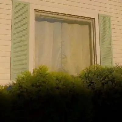 绿色系养眼背景图十月的晚风吹风景静物头像我要个性网