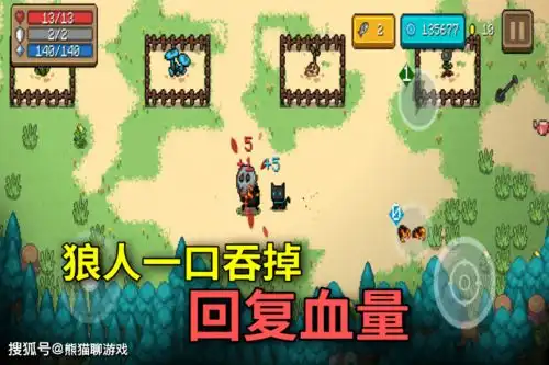 元气骑士花圃3大彩蛋百年萝卜千年笋,井中一个青蛙男