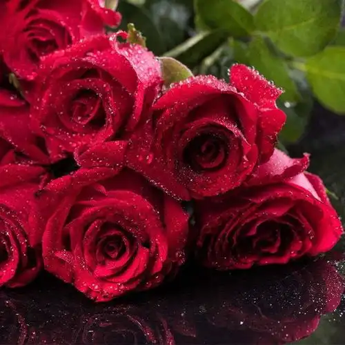 10月开始迎来双喜临门,赚钱多多,机遇多多的四大生肖