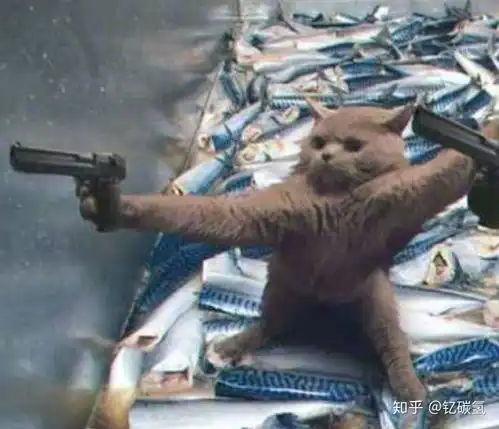 你平常聊天会用哪些威胁的表情包