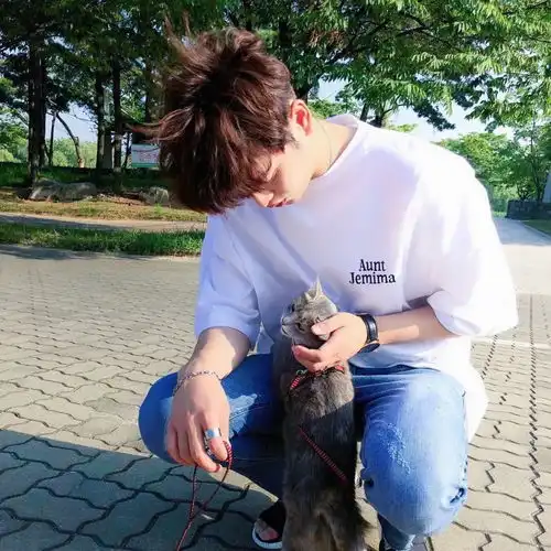 头像丨感情是努力也没用的东西