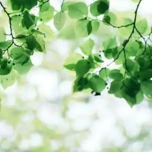 旅游景区营销方案