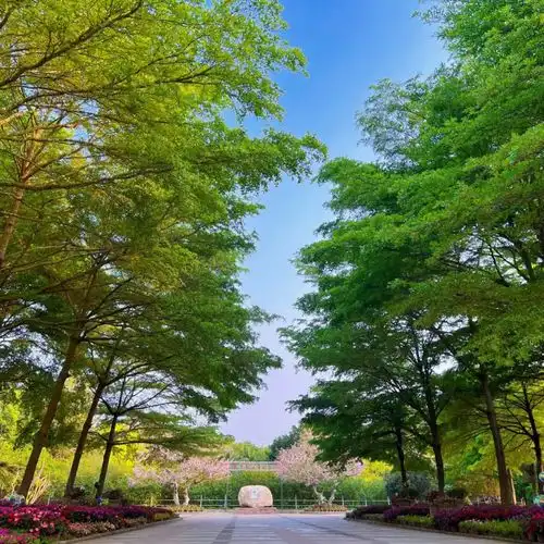 茂马等你媲美夏威夷的景色霸屏央视的美食