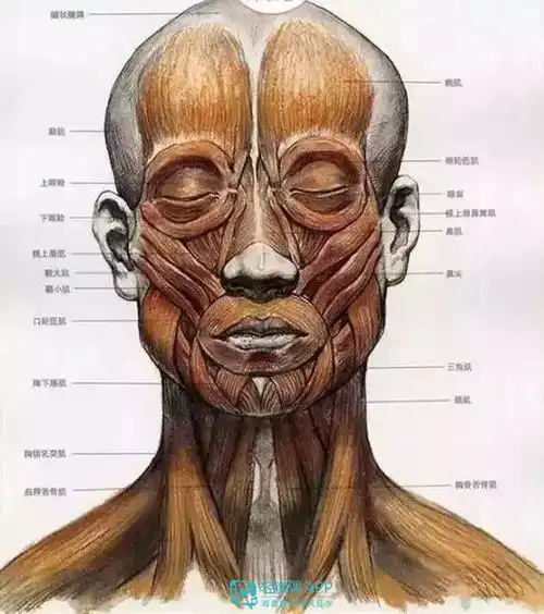 素描五官画不好不是没天赋,可能是你的方法用错了