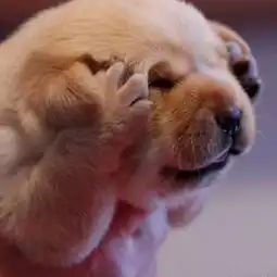 这届父母给孩子起小名也太野了,哈哈哈哈哈哈