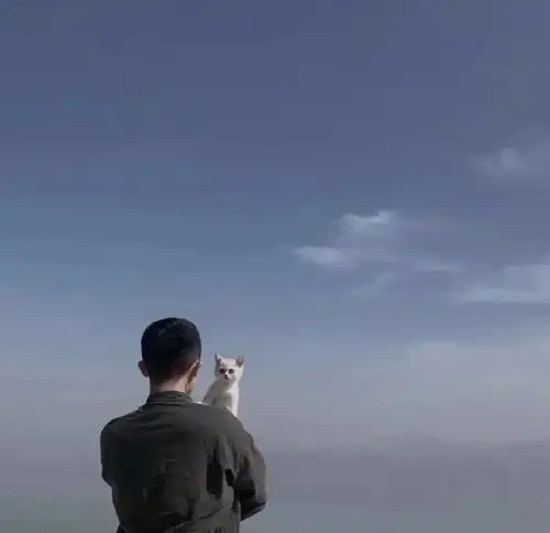 情侣头像单人情头,相见更相依