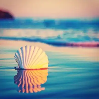 从他背叛婚姻的那一刻起,余生,你只剩下一条出路