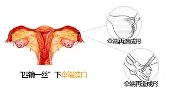 女性怀不上孩子的原因,竟然这么触目惊心