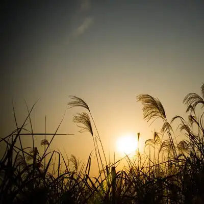 qq头像伤感风景图片