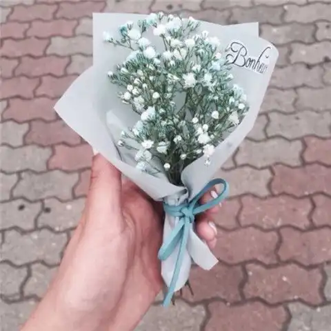 心理测试4个鲜花,凭直觉选一个,测出你的爱情到底多坎坷