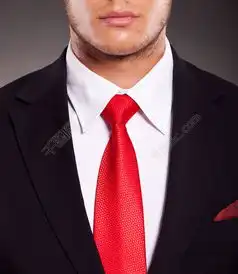 红领带商务男人高清图片免费下载jpg格式3744像素编号18838187千图网