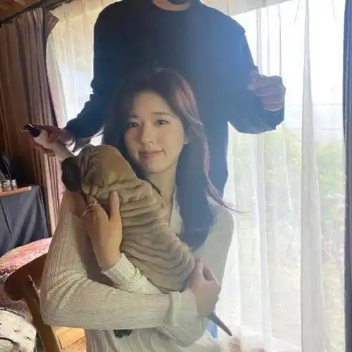 赵露思拉踩吴宣仪郑爽复出周扬青陈伟霆恋爱仝卓要翻身了任豪连累周冬雨某女星跟前男友复合小扒问答回复