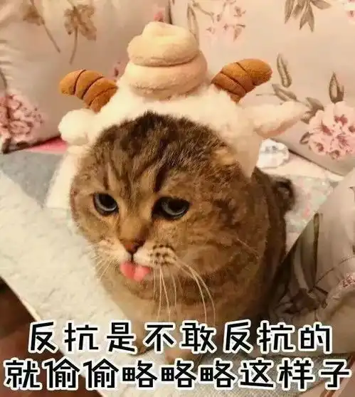 裹了猫砂的猫屎算哪门子垃圾